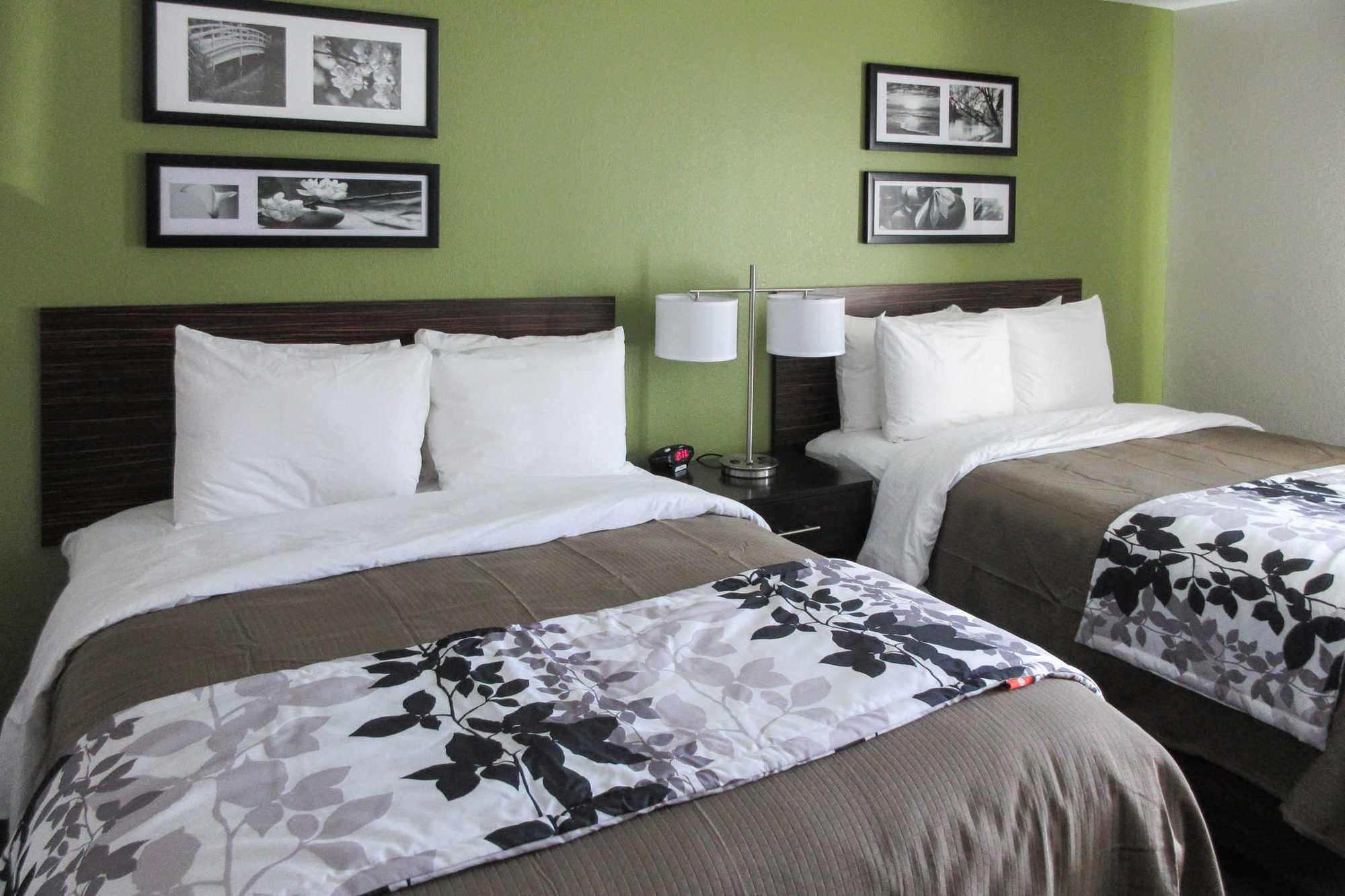 Sleep Inn & Suites College Station Rom bilde
